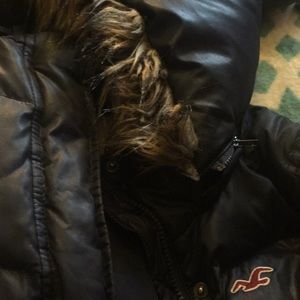 Hollister coat